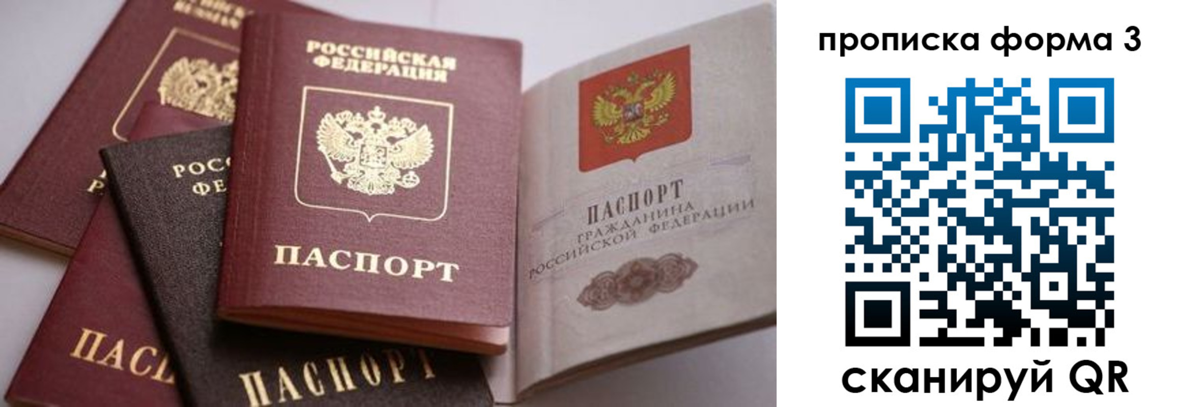 прописка для школы в Чистополье